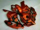 Best 2004-2005 Brown Black Honda CBR1000RR Motorcylce Fairings Best 2004-2005 Brown Black Honda CBR1000RR Motorcylce Fairings