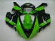 Best 2005-2006 Green Black Kawasaki ZX6R Motorbike Fairing