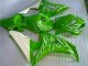 Best 2006-2007 Green Honda CBR1000RR Motorbike Fairings Best 2006-2007 Green Honda CBR1000RR Motorbike Fairings