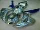 Best 2006-2007 Blue Flame Silver Honda CBR1000RR Motorcycle Fairing Kits Best 2006-2007 Blue Flame Silver Honda CBR1000RR Motorcycle Fairing Kits