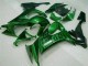 Best 2008-2010 Green Flame Kawasaki ZX10R Bike Fairings Best 2008-2010 Green Flame Kawasaki ZX10R Bike Fairings
